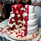 День Свадьбы / Планирование