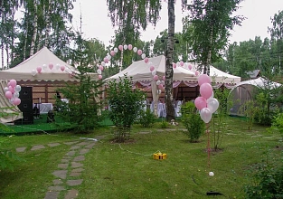Розовая Свадьба