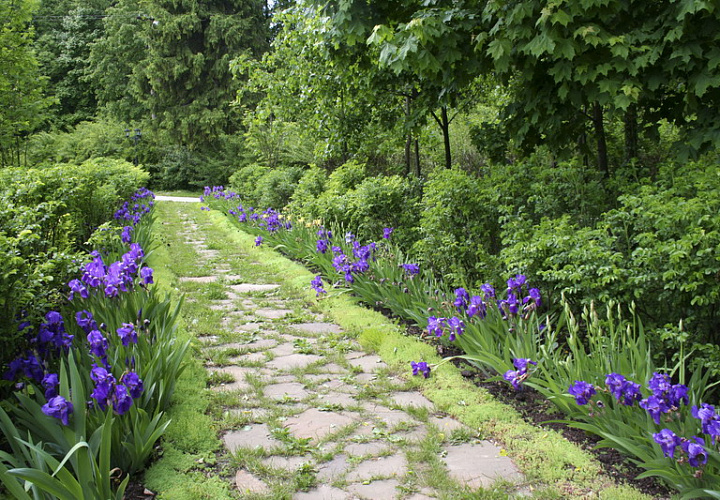 Усадьба Середниково