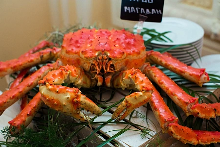 Станции с морепродуктами